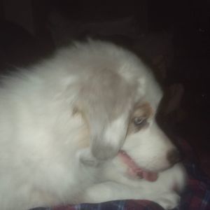 Meet your Posher, Debra